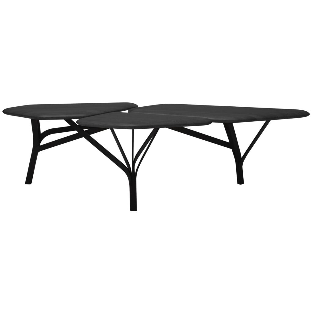 Borghese Coffee Table Noe Duchaufour Lawrance 1
