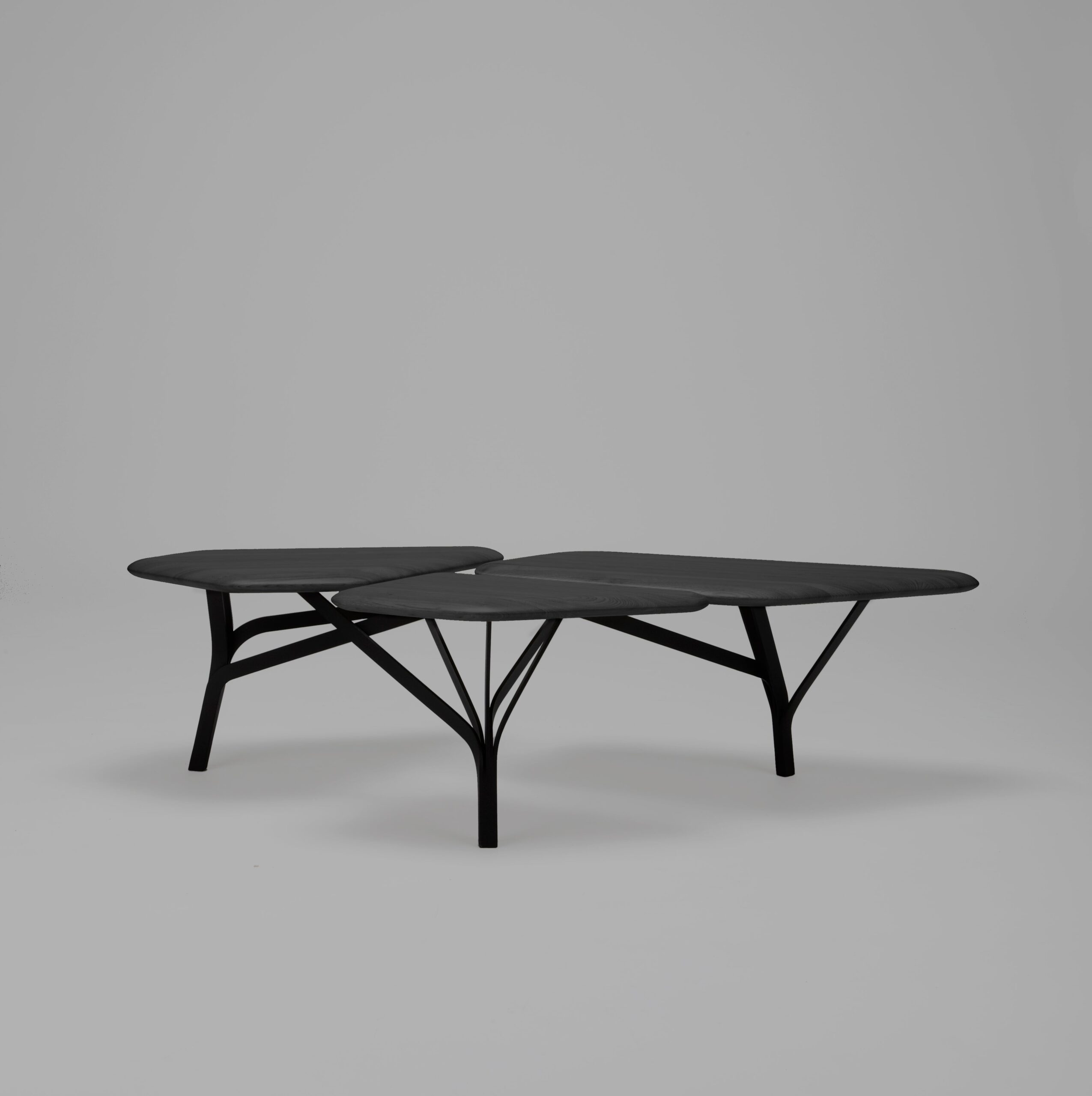Borghese Coffee Table Noe Duchaufour Lawrance 5