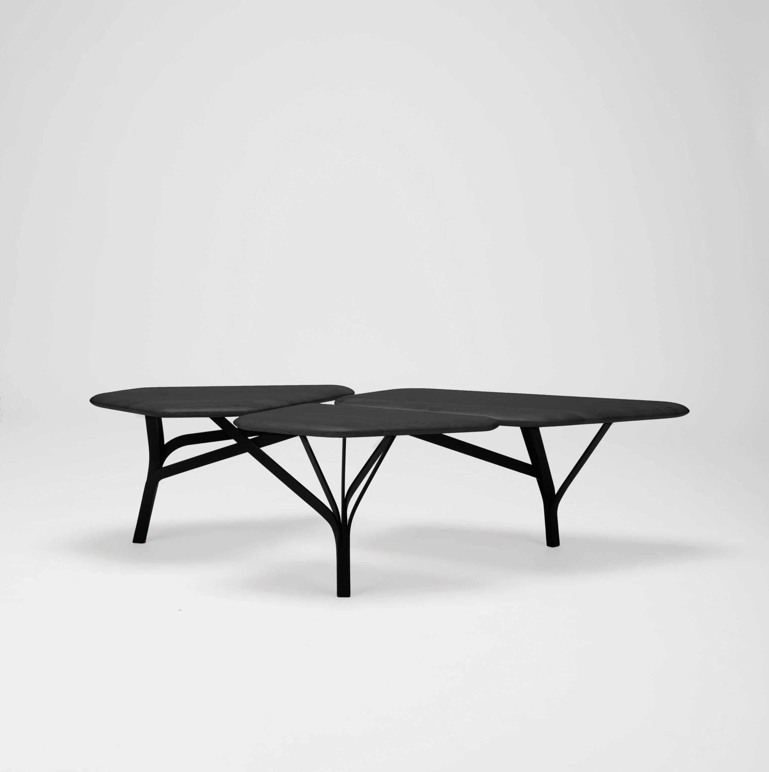 Borghese Coffee Table Noe Duchaufour Lawrance 6