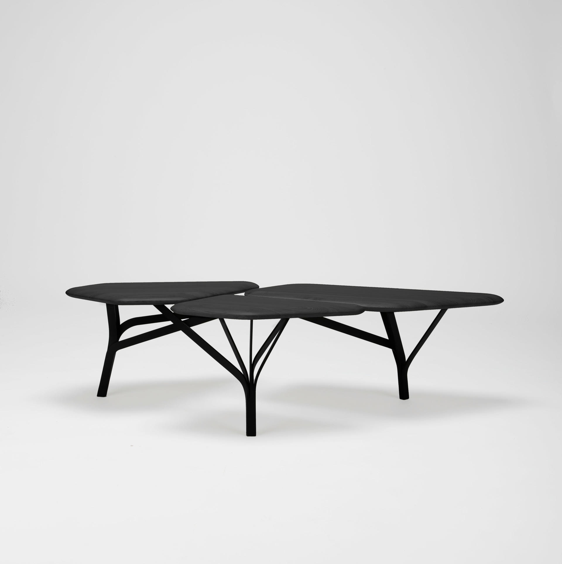 Borghese Coffee Table Noe Duchaufour Lawrance 6