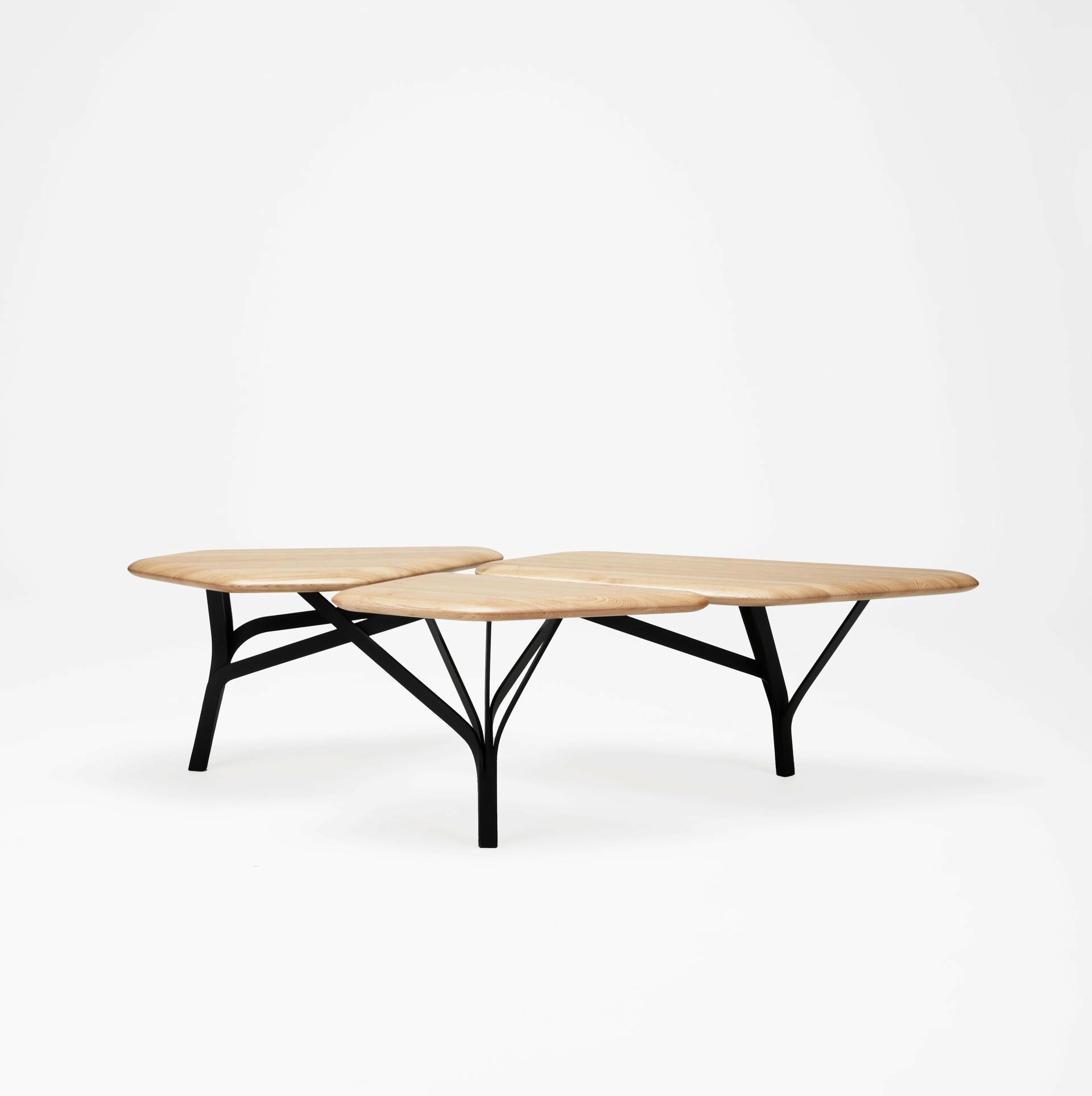 Borghese Coffee Table Noe Duchaufour Lawrance 7