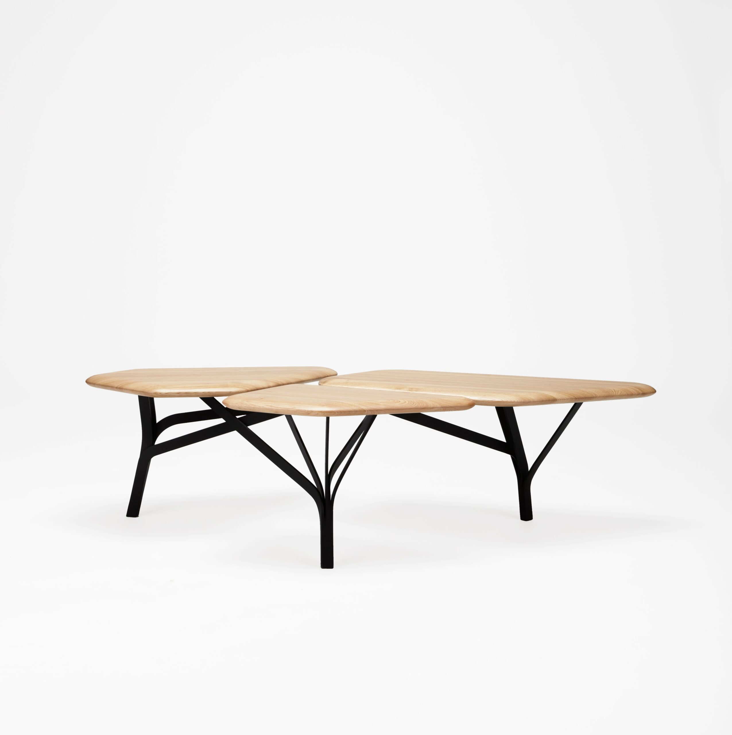 Borghese Coffee Table Noe Duchaufour Lawrance 7