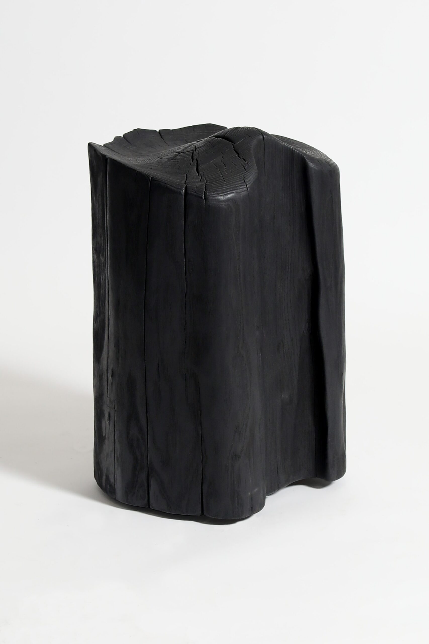 Burned Chunk by Jesse Sanderson 12