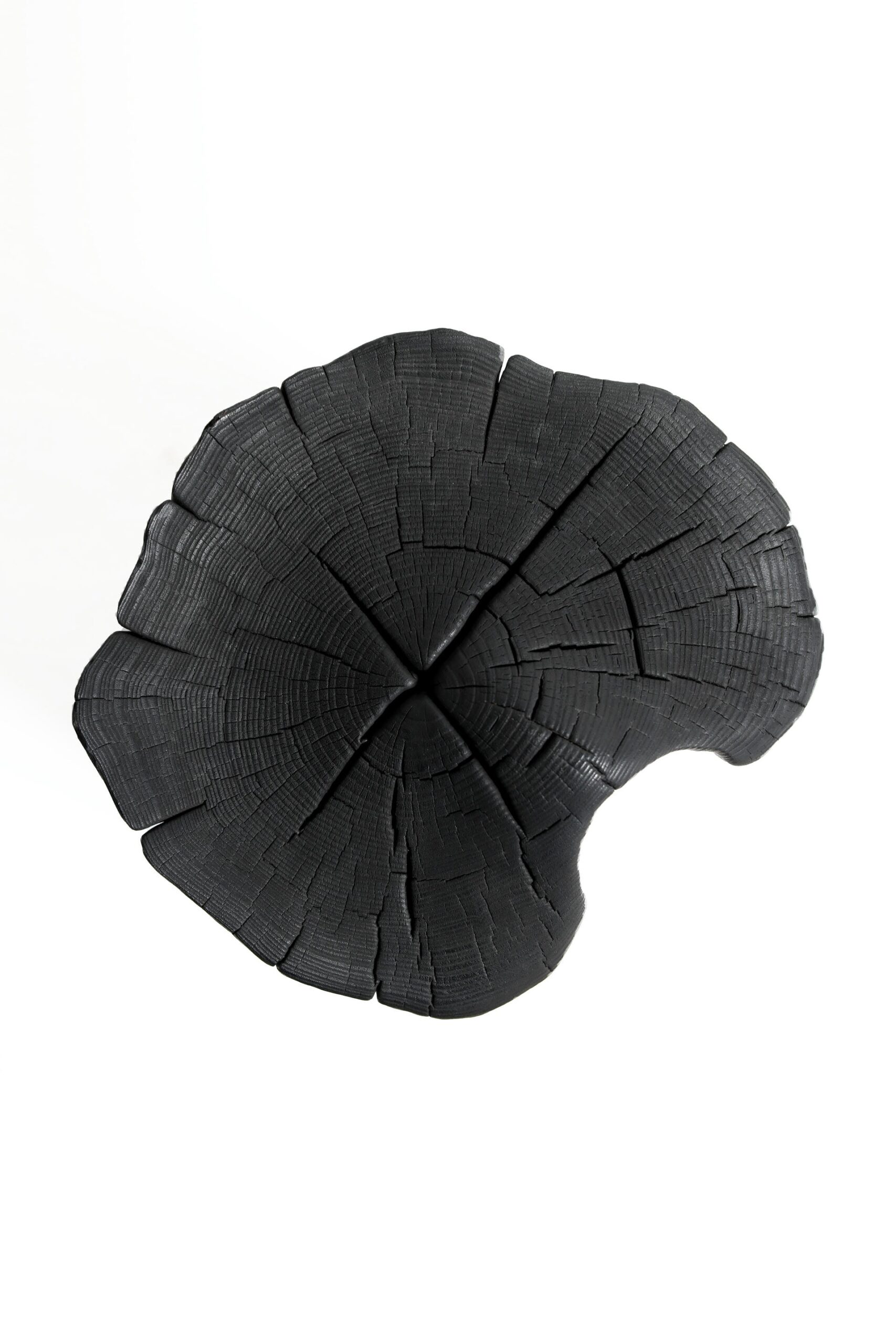 Burned Chunk by Jesse Sanderson 3