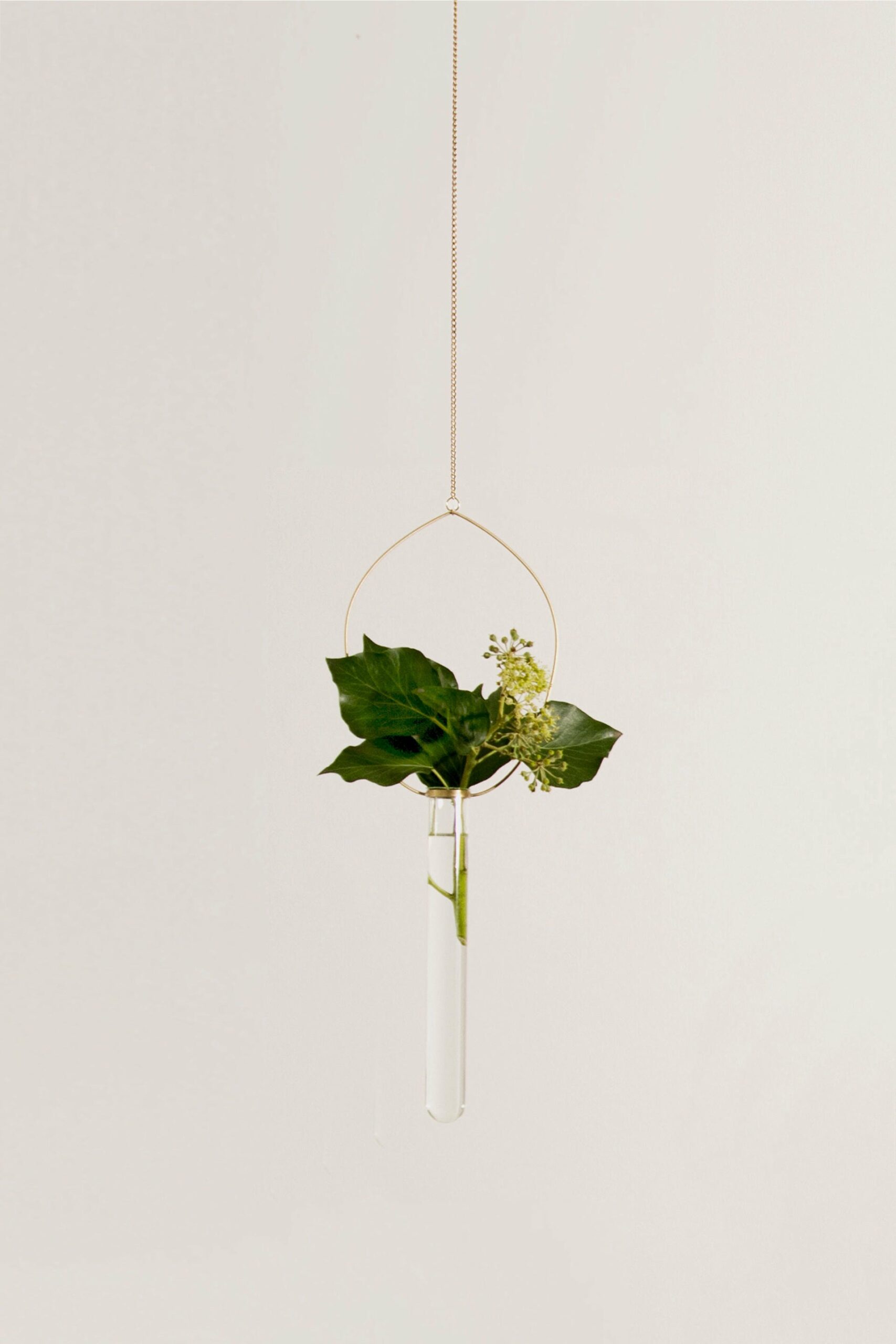 Eden Brass Floating Vase Agustina Bottoni 2