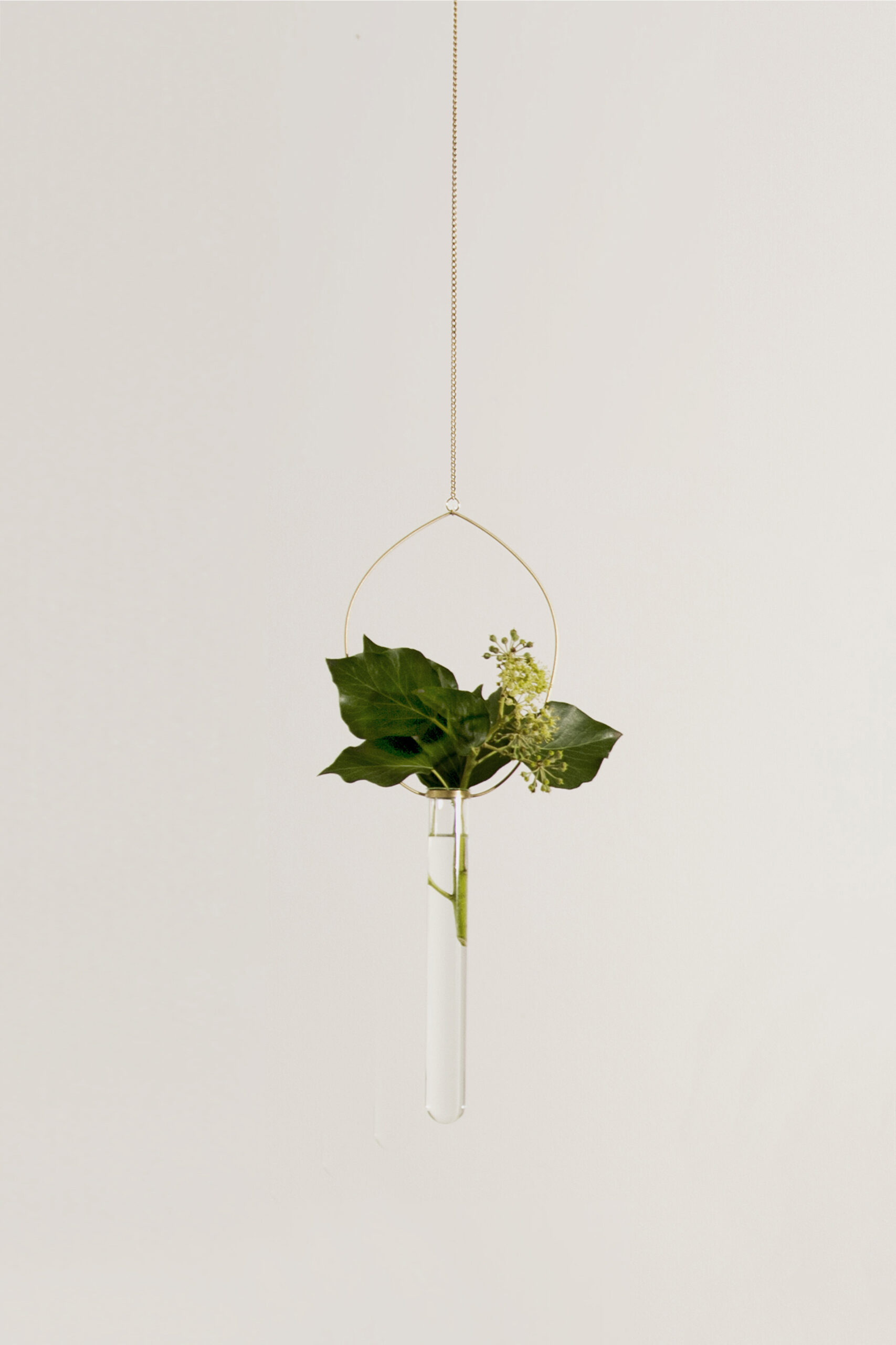 Eden Rock Brass Floating Vase by Agustina Bottoni 3