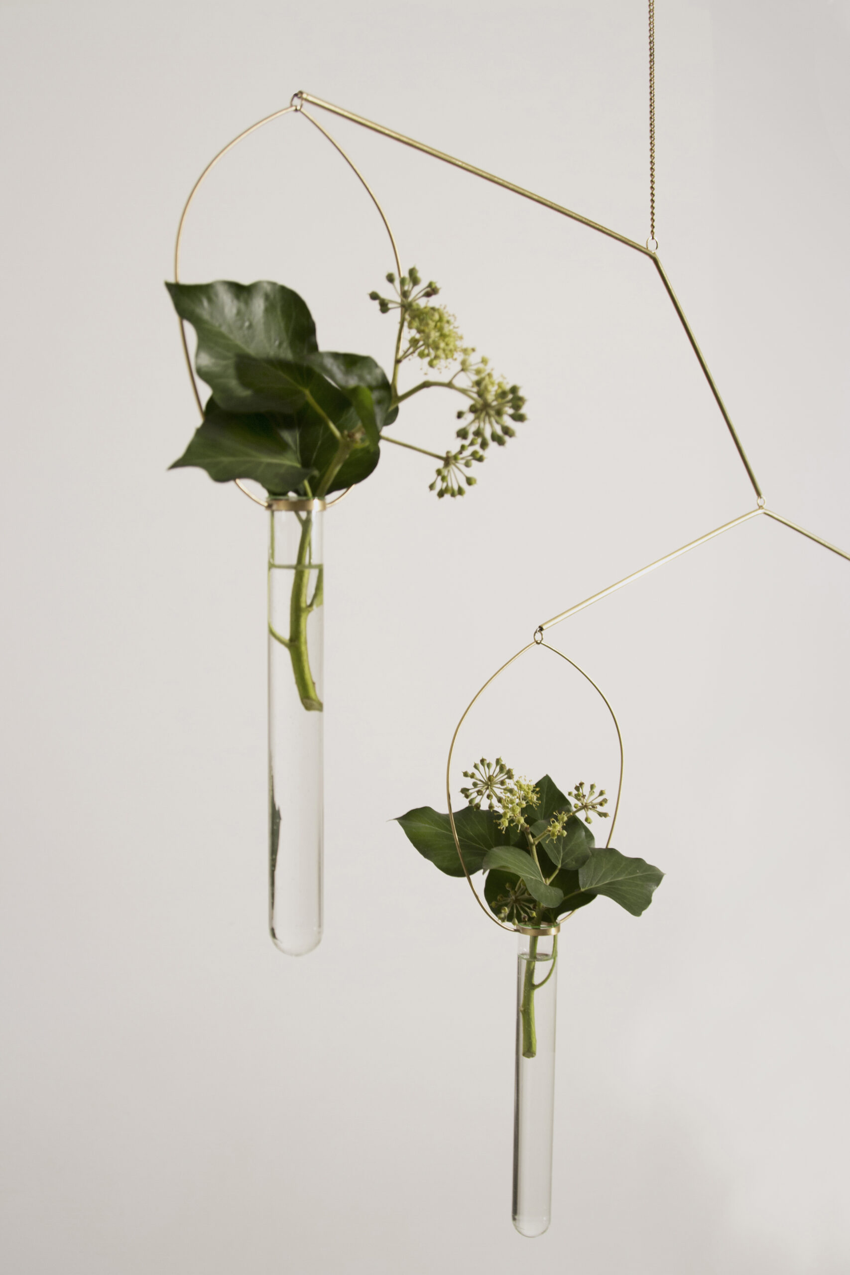 Eden Rock Brass Floating Vase by Agustina Bottoni 4
