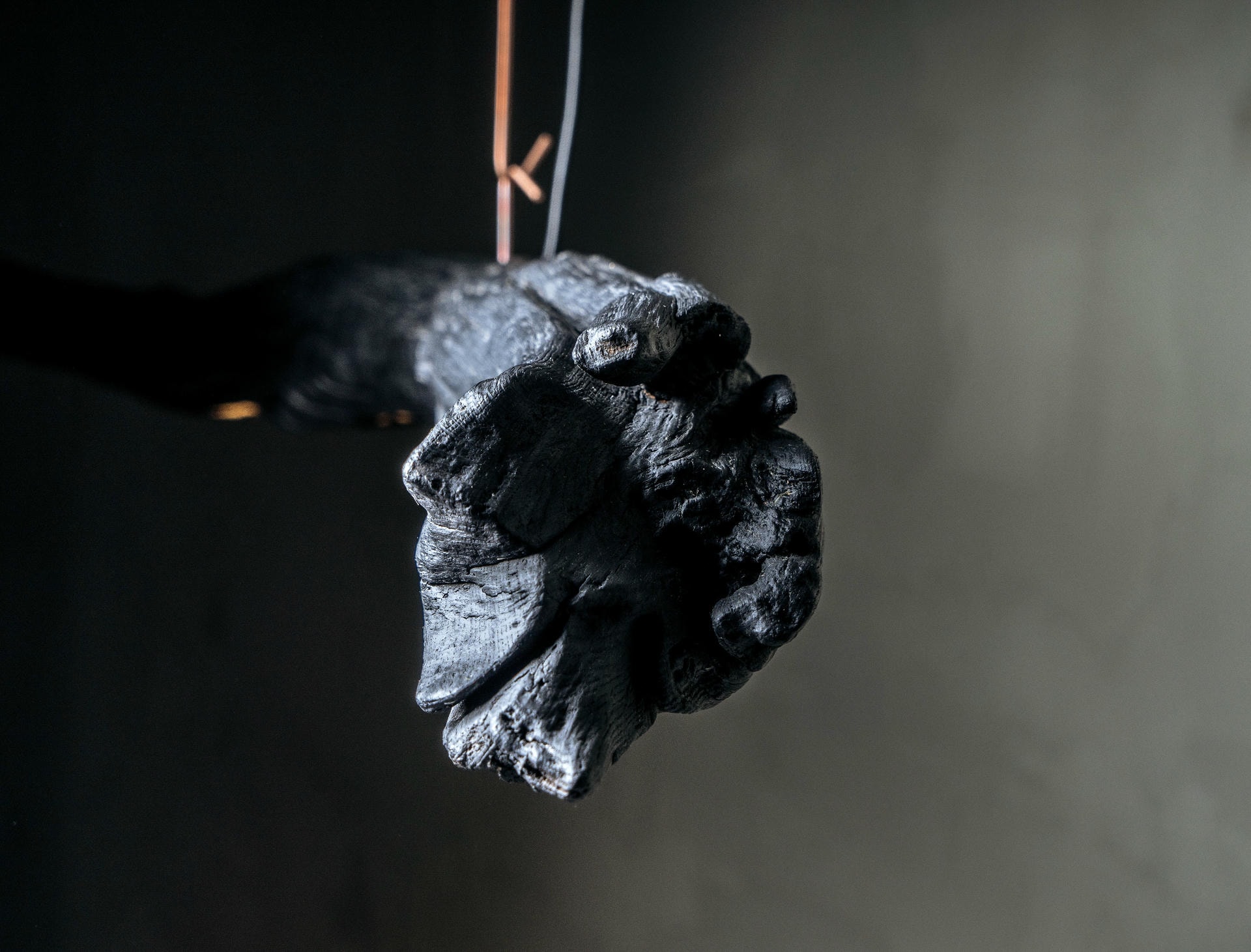 Light Suspension Burning Ego by Wim Verzantvoort 11