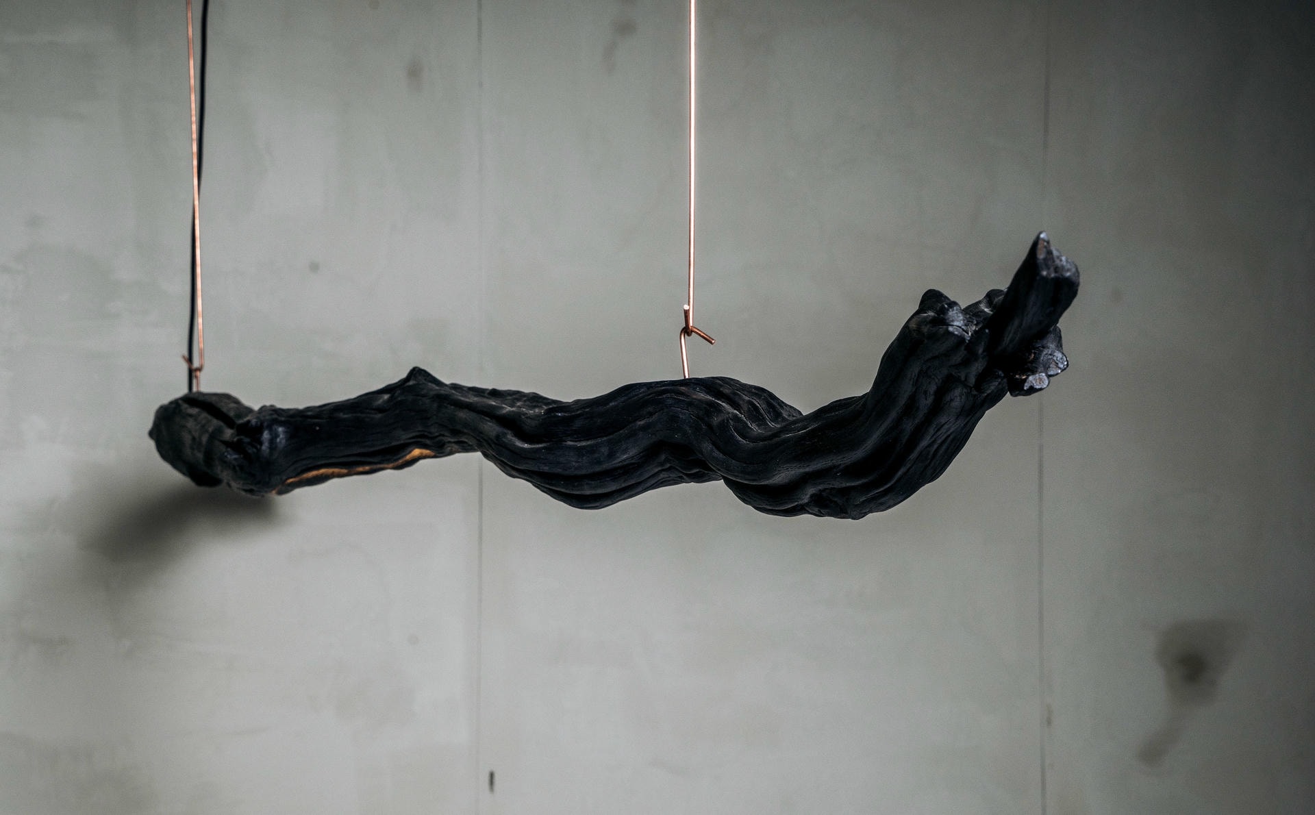 Light Suspension Burning Ego by Wim Verzantvoort 9