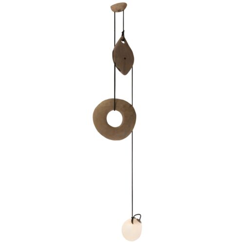 Suspended Sculptural Pendant Lamp Organic Wood Glass by Jrme Pereira 1