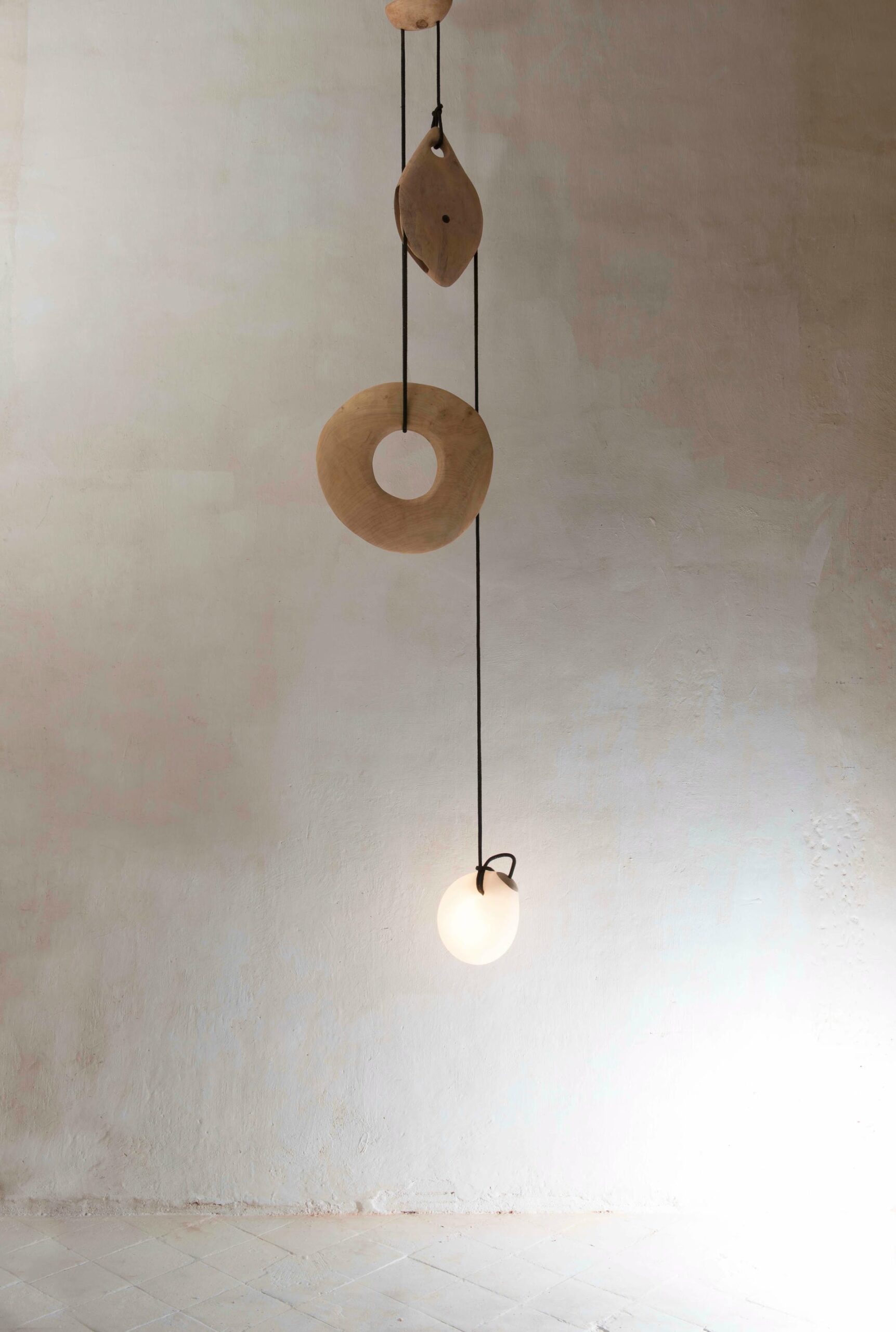 Suspended Sculptural Pendant Lamp Organic Wood Glass by Jrme Pereira 3