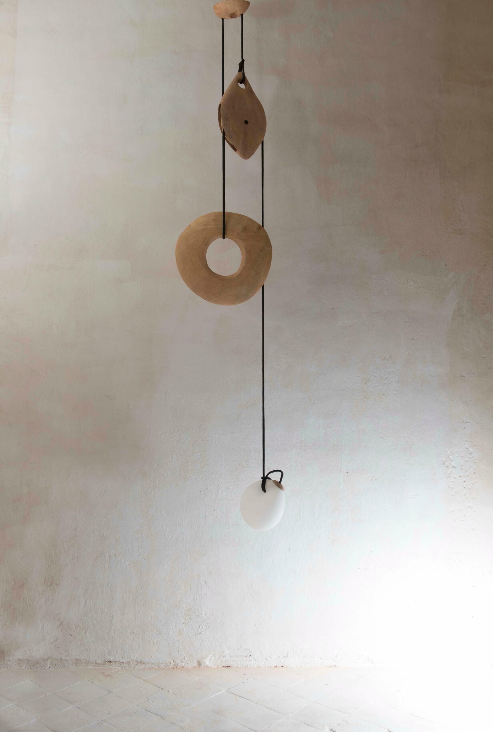 Suspended Sculptural Pendant Lamp Organic Wood Glass by Jrme Pereira 4