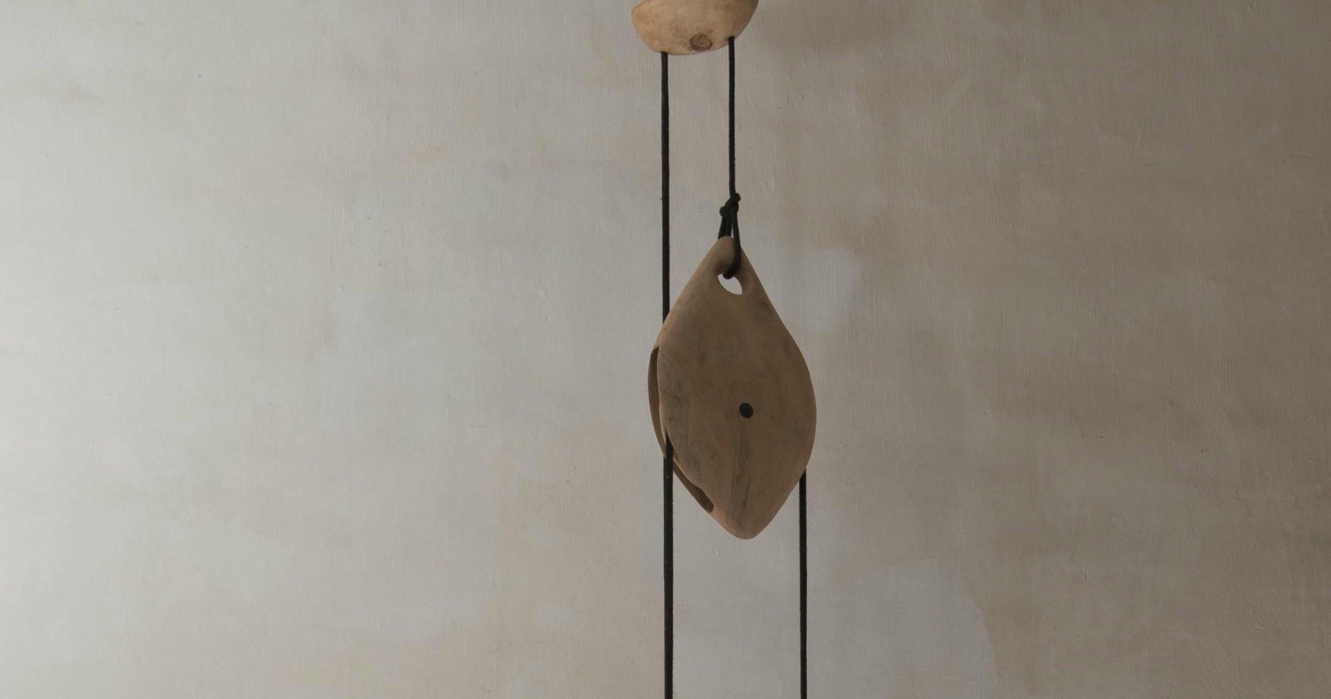 Suspended Sculptural Pendant Lamp Organic Wood Glass by Jrme Pereira 7