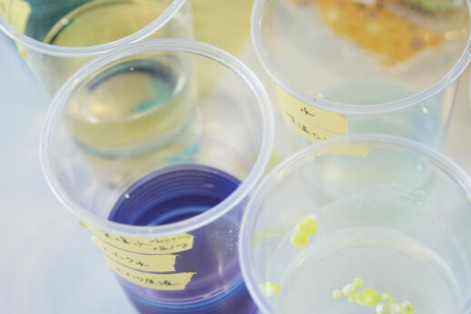 Toshiya Hayashi and Hokuto Ando 1 Toshiya Hayashi and Hokuto Ando 1