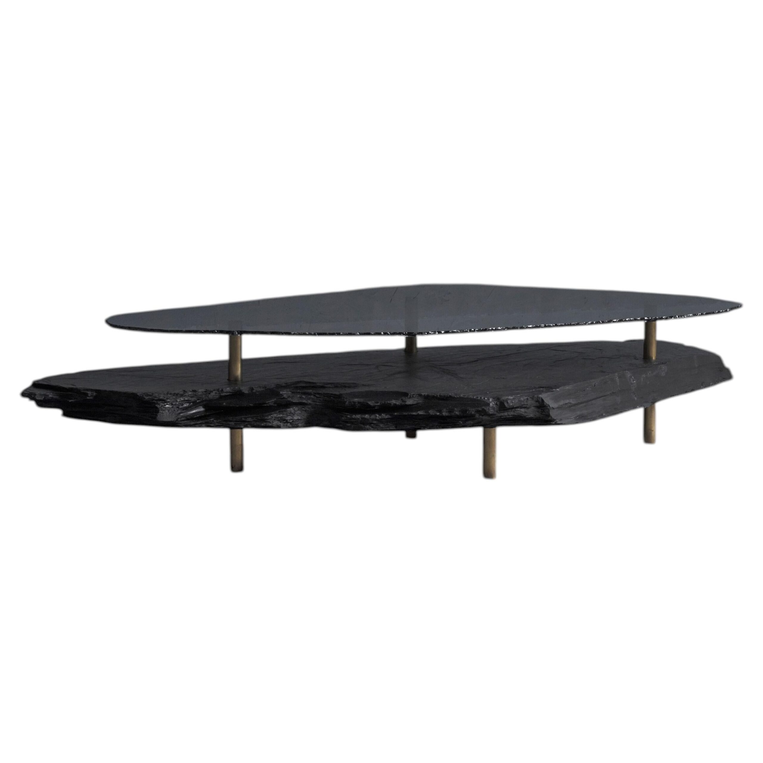 Hardie Unique Slate Sculpted Coffee Table by Frederic Saulou 1