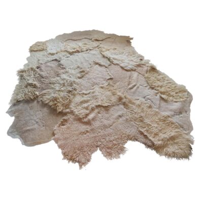 Artistic Rug by Carine Boxy