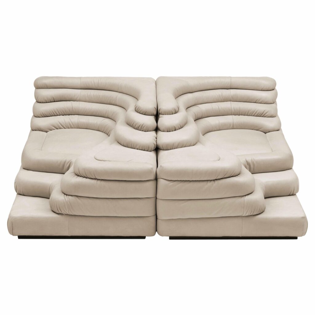 DS 1025 Set of 2 Modern Sofas by De Sede Leather Beech Switzerland 1