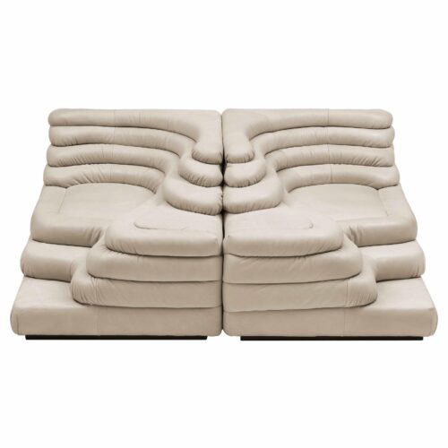 DS 1025 Set of 2 Modern Sofas by De Sede Leather Beech Switzerland 1