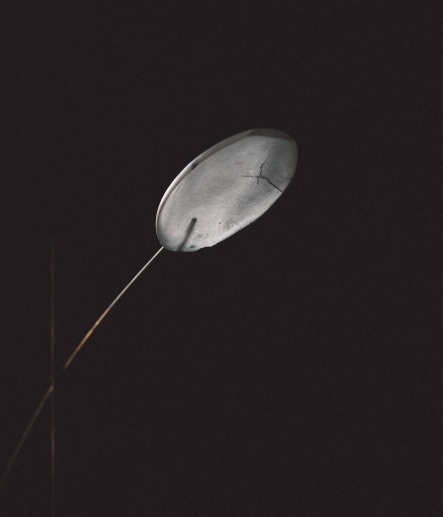 frederic saulou solar alabaster galerie philia