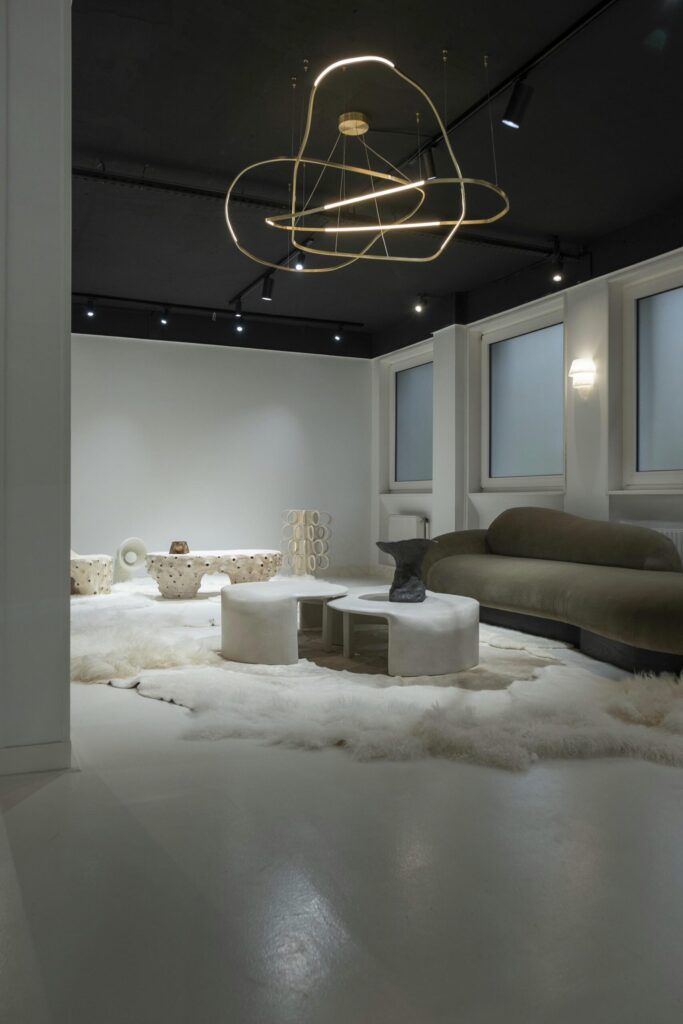 galerie philia cabinet de virtuosites paris 39