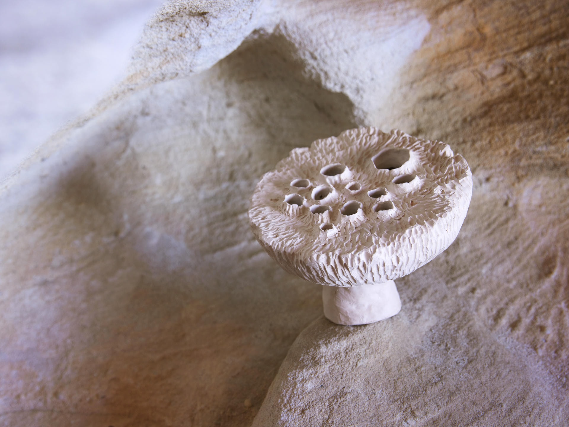 jan ernst stoneware lotus pod galerie philia 01