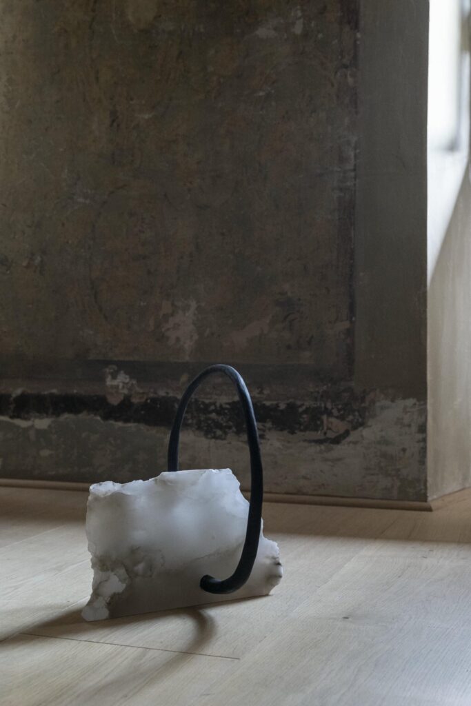 jerome pereira nature does not tell lies 2 galerie philia