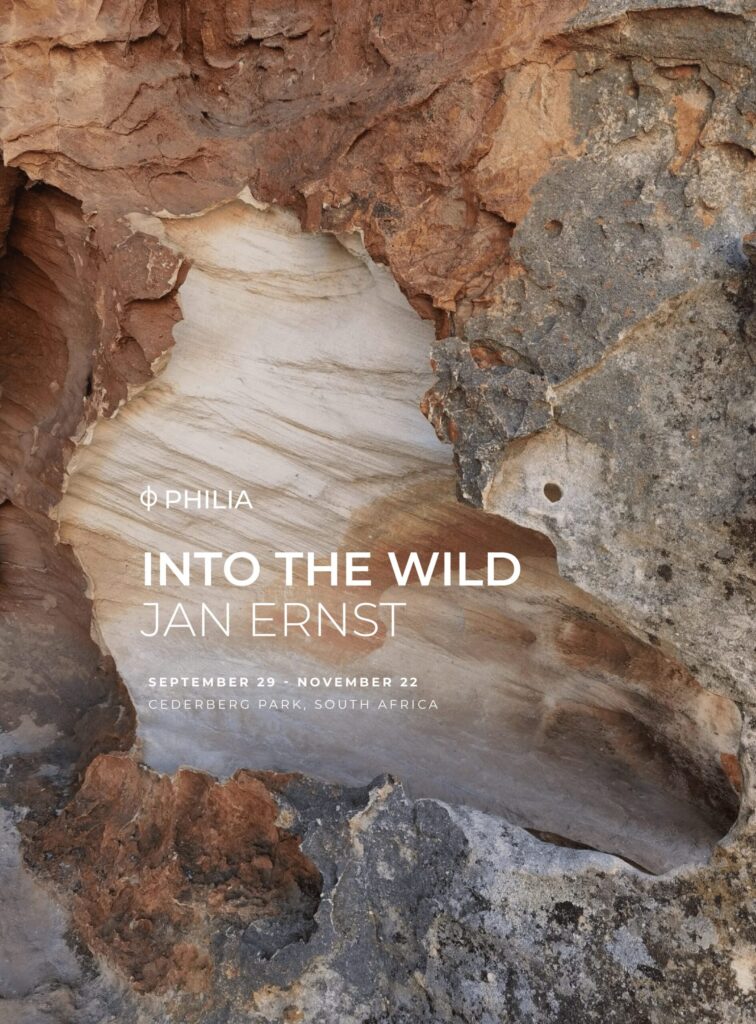 poster into the wild south africa