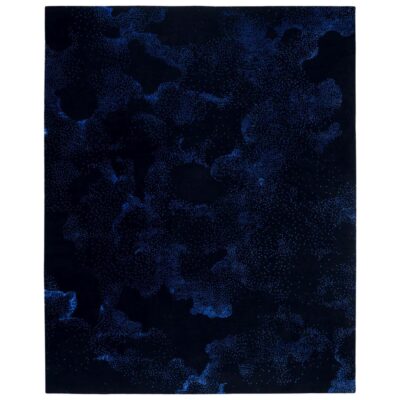 Medium Hand-Knotted Nuache Rug by Florian Pretet and Lisa Mukhia Pretet