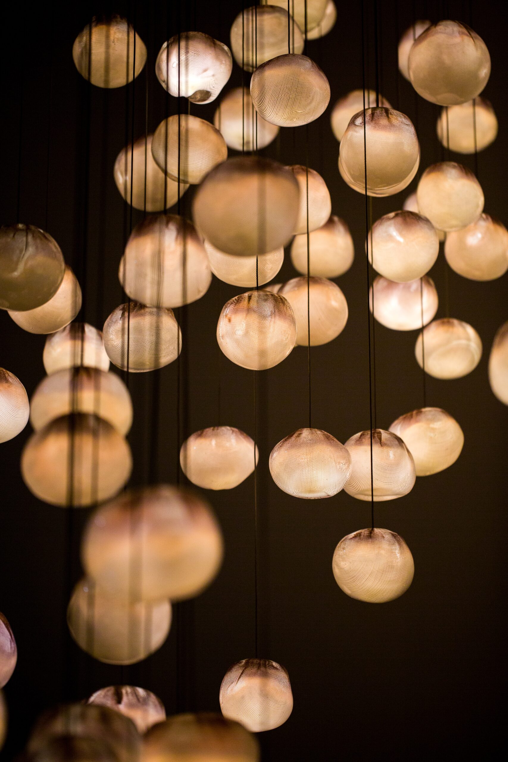 76.36 Pendant by Bocci 10