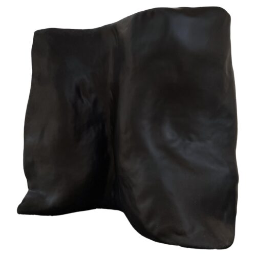 Contemporary Organic Form Organic Plain Black Fiberglass Screen by kar 1