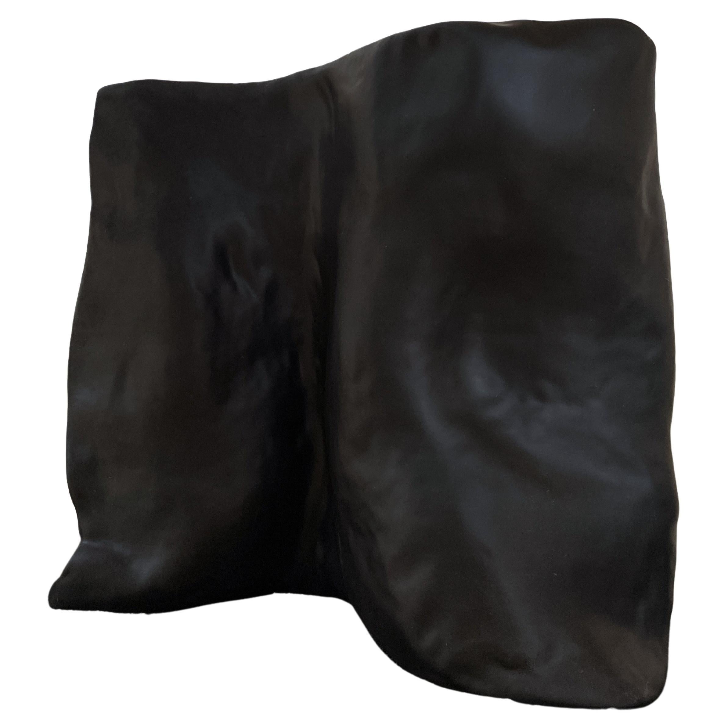 Contemporary Organic Form Organic Plain Black Fiberglass Screen by kar 1