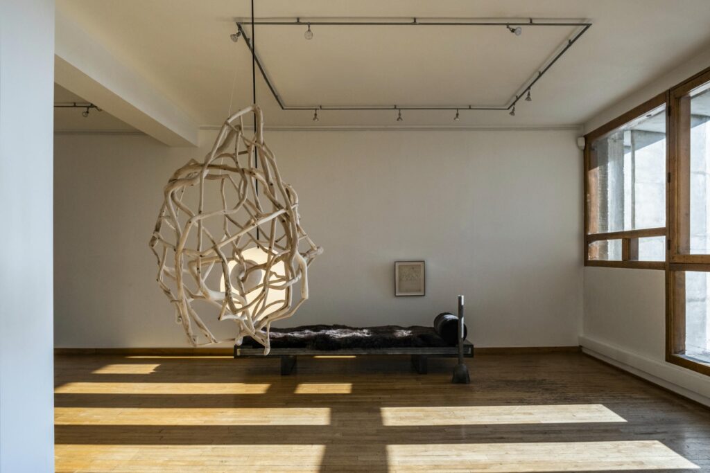 jerome pereira planck galerie philia 01