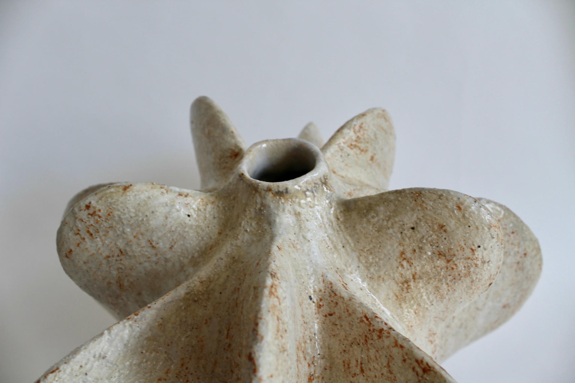 Ivory Petal Gourd IV by Julie Nelson 3