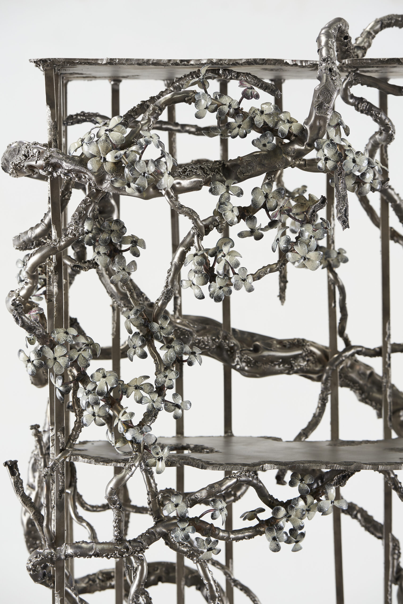 Small Future Ruins Cabinet by Michael Gittings 3