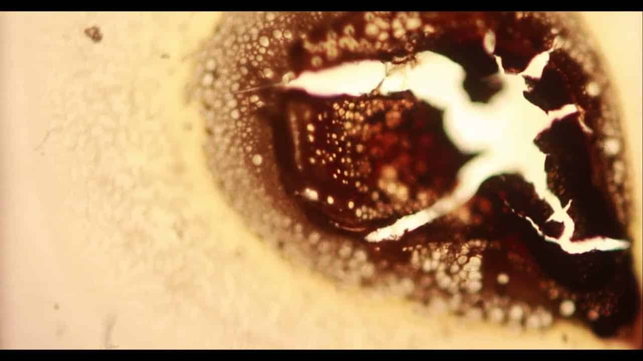 La Fabrique Noir