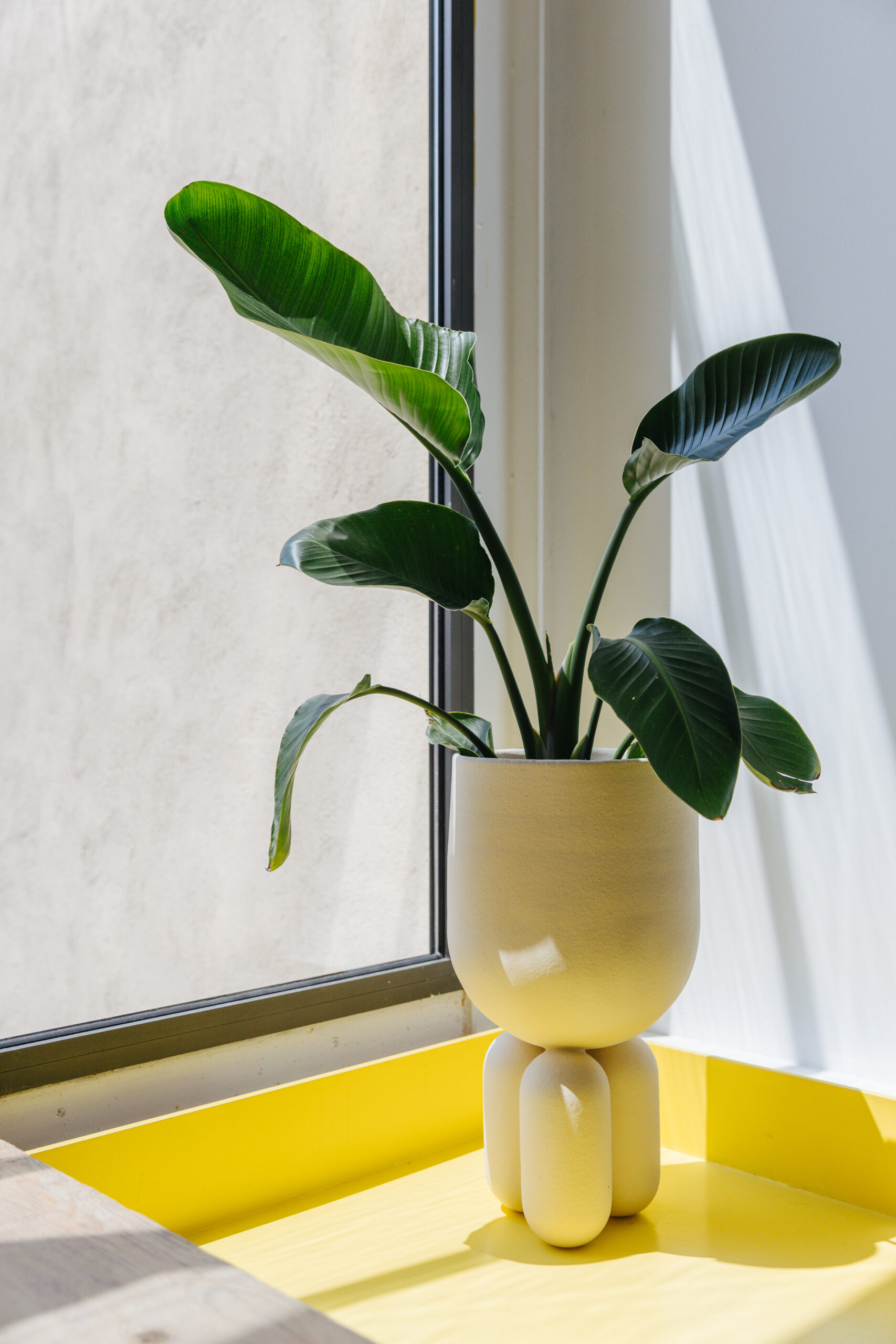 Planter Clay Vase 30 by Lisa Allegra 2