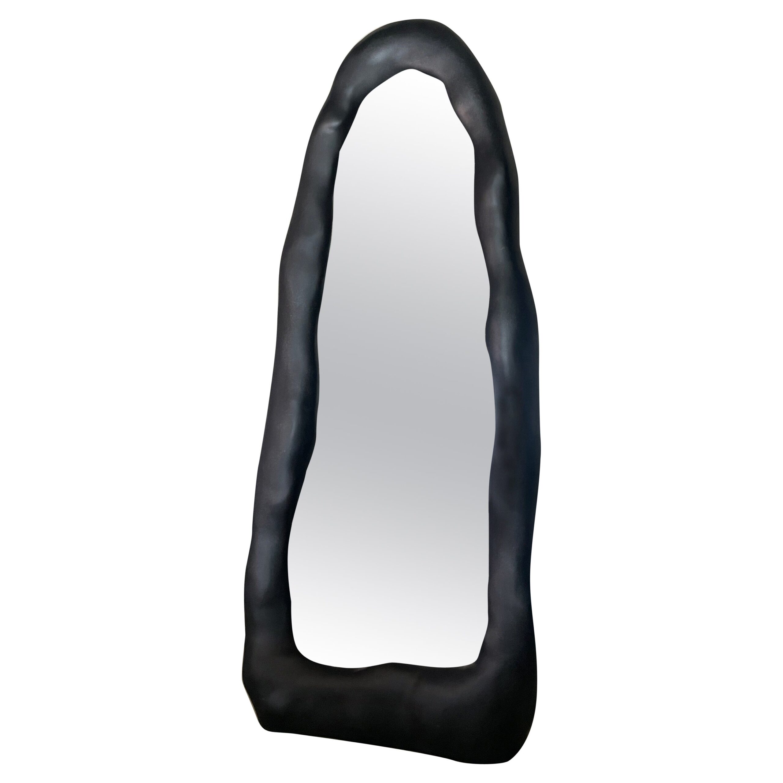Contemporary Organic Form Black Fiberglass and Glass Mirror by kar 1