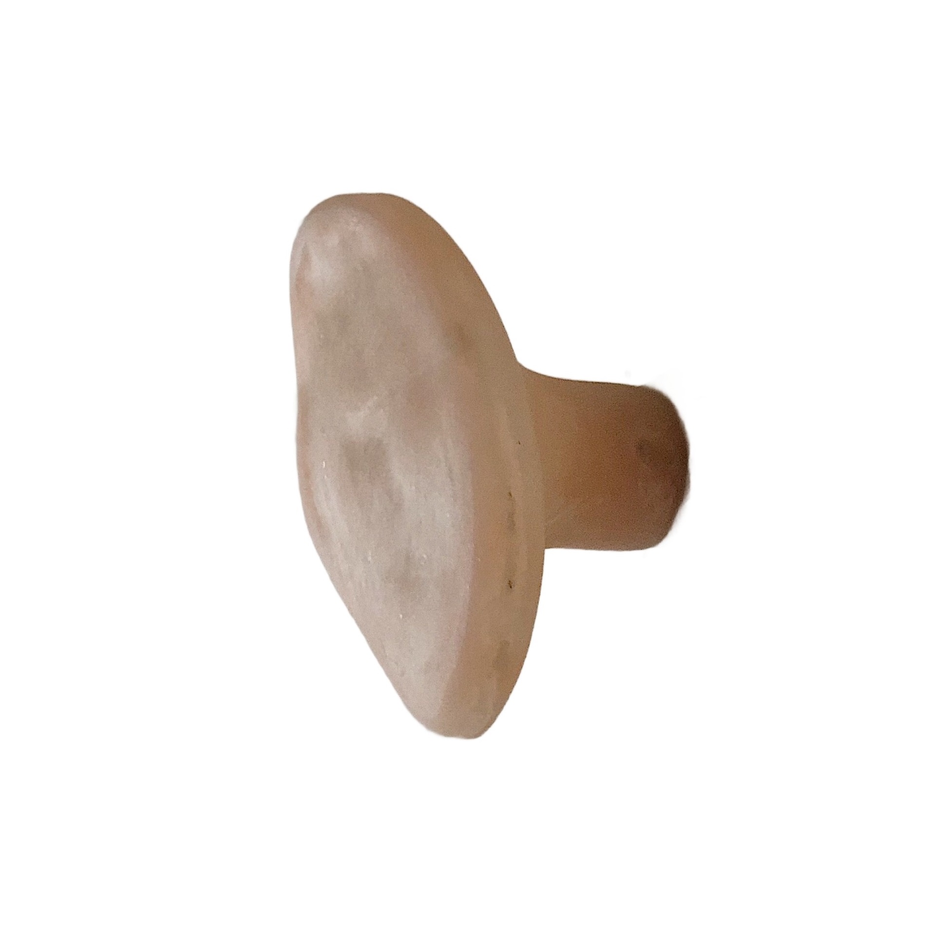 Organic Form, Rose Pink Fiberglass Hook by kar 1