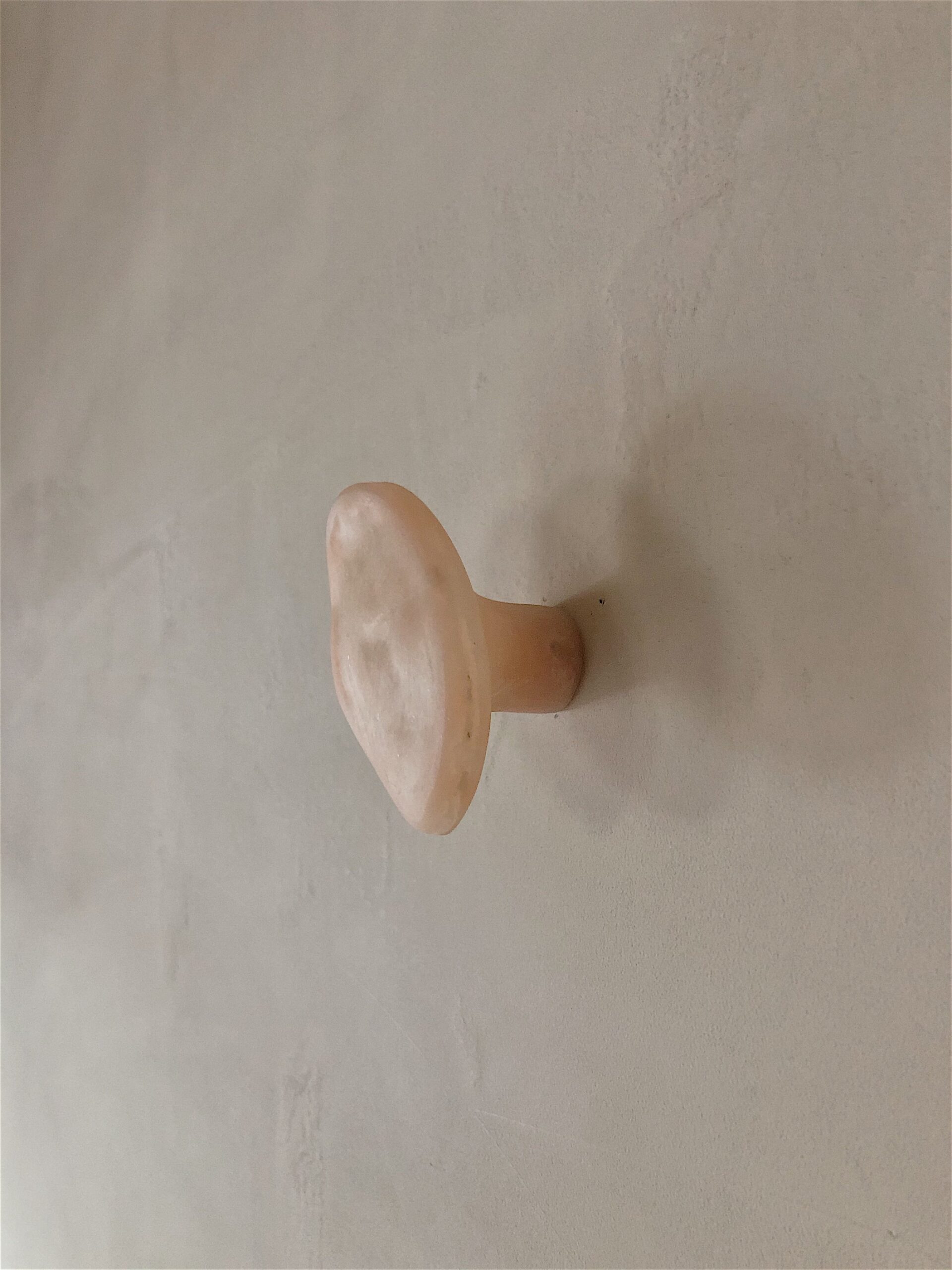 Organic Form, Rose Pink Fiberglass Hook by kar 2