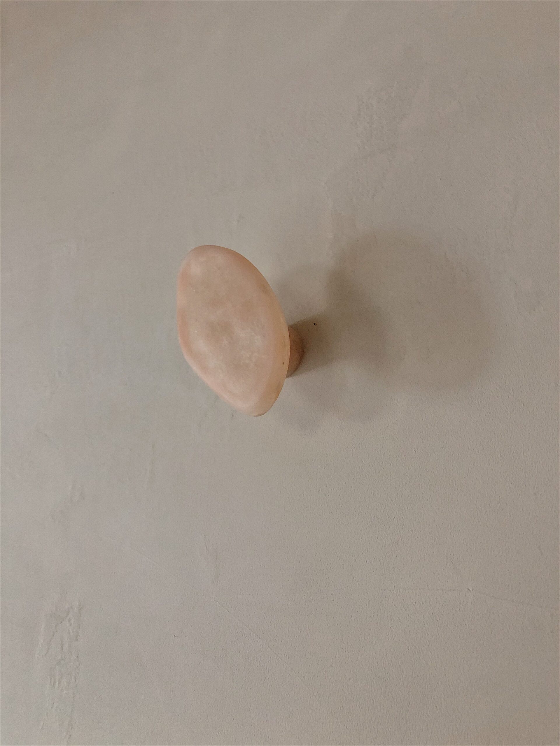 Organic Form, Rose Pink Fiberglass Hook by kar 3