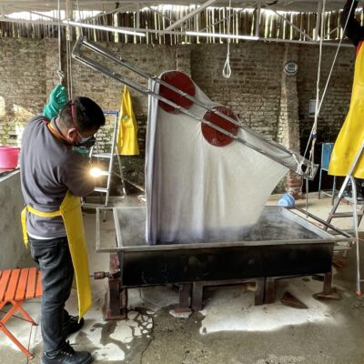 ClampDying03_Cashmere_GisbertPoeppler copy