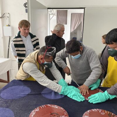 ClampDying04_Cashmere_GisbertPoeppler copy