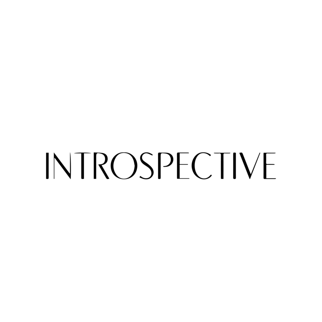 Introspective