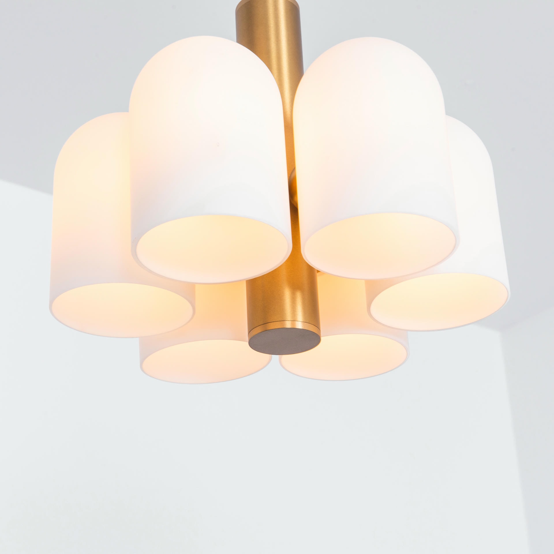 Odyssey 6 Brass Pendant Light by Schwung 4