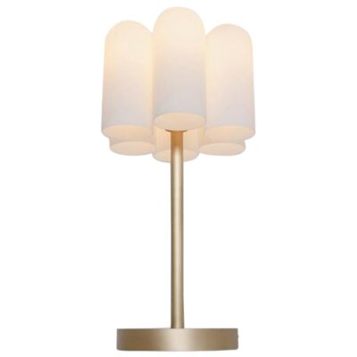 Odyssey 6 Brass Table Lamp by Schwung