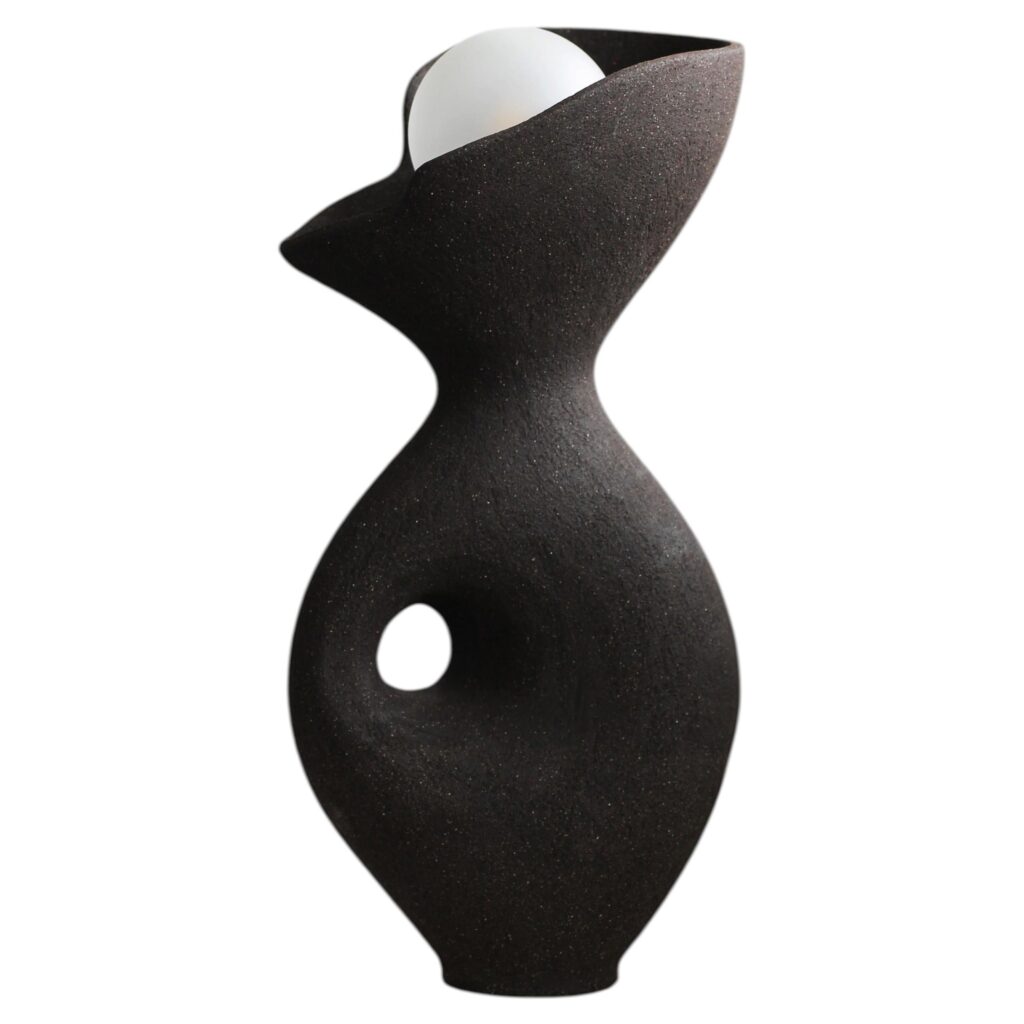 Black Exo Lamp by Abid Javed 1