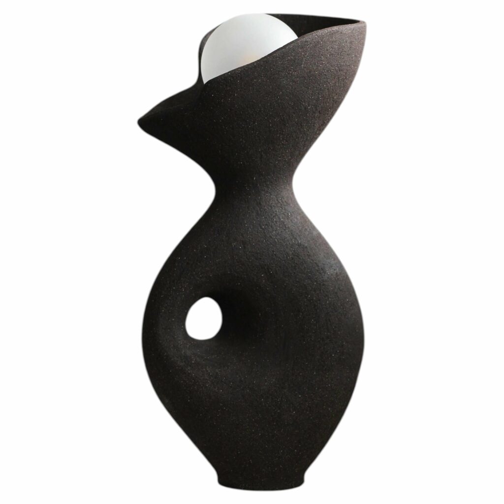 Black Exo Lamp by Abid Javed 1