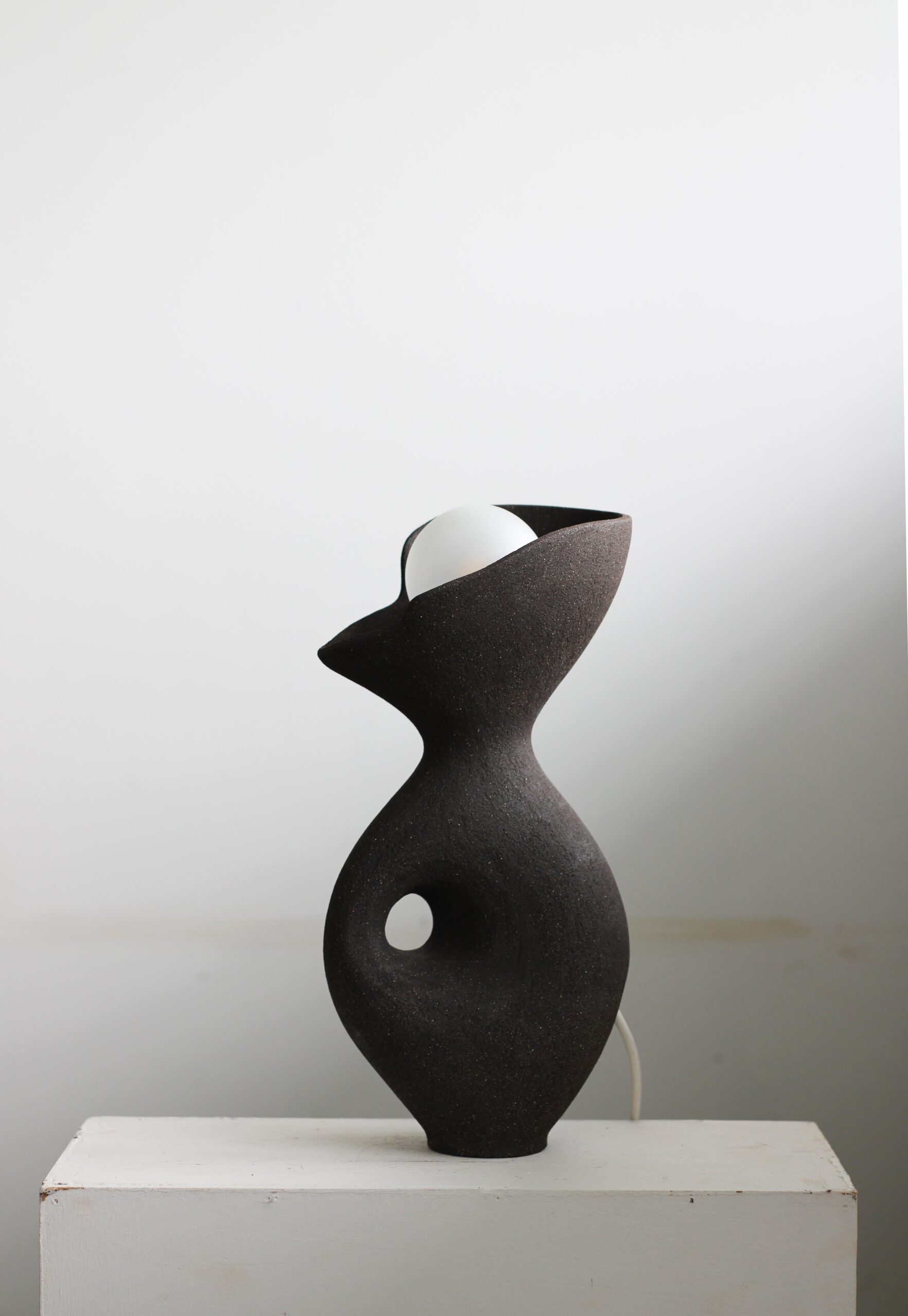 Black Exo Lamp by Abid Javed 2
