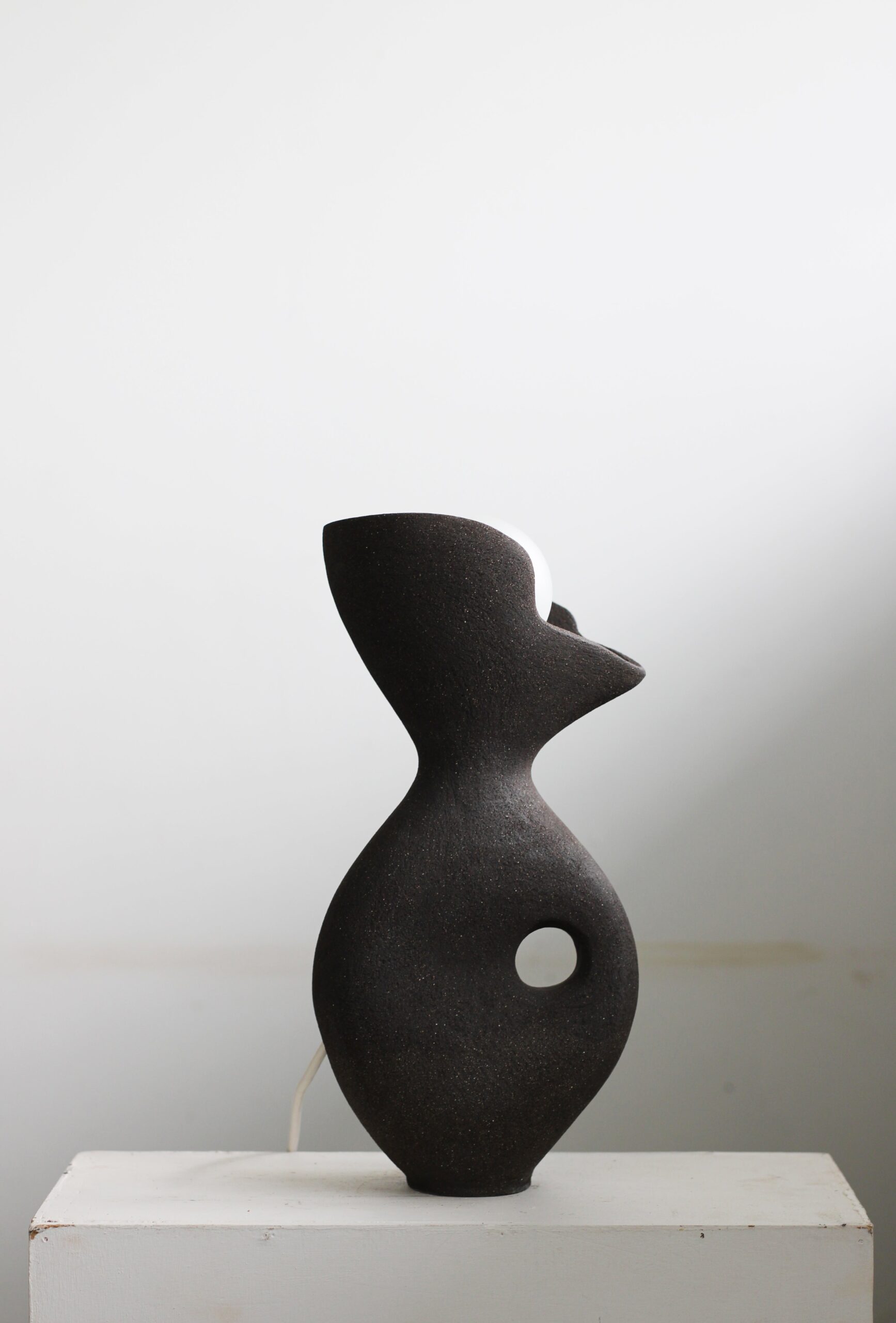 Black Exo Lamp by Abid Javed 3