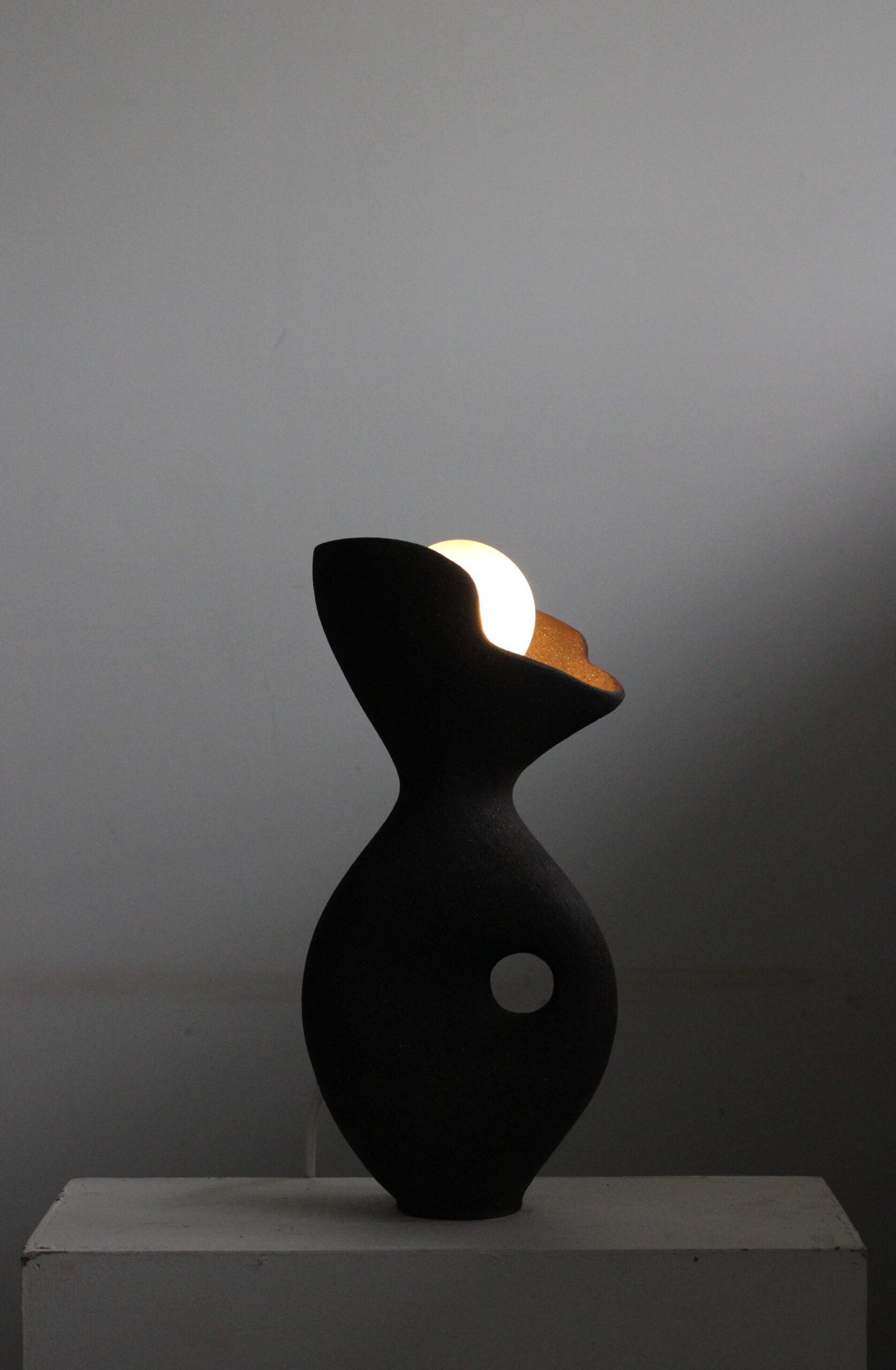 Black Exo Lamp by Abid Javed 4
